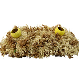 Rustic Dry Flower Center Piece