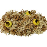 Rustic Dry Flower Center Piece