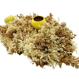 Rustic Dry Flower Center Piece